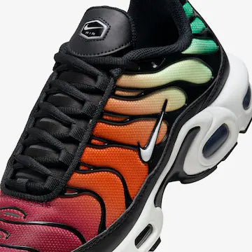 Nike Air Max Plus Colorido