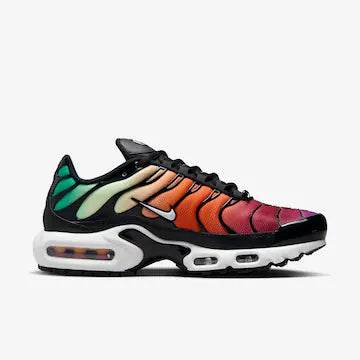 Nike Air Max Plus Colorido