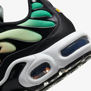 Nike Air Max Plus Colorido