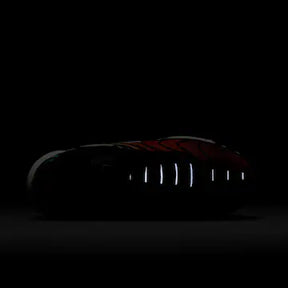 Nike Air Max Plus Colorido