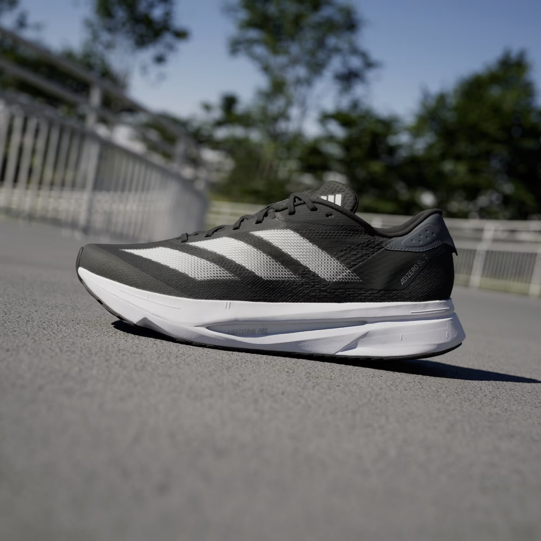 CORRIDA ADIZERO – SL2 Elegante